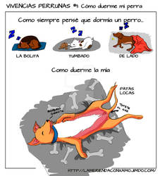 VIVENCIAS PERRUNAS #1: Como duerme mi perra.