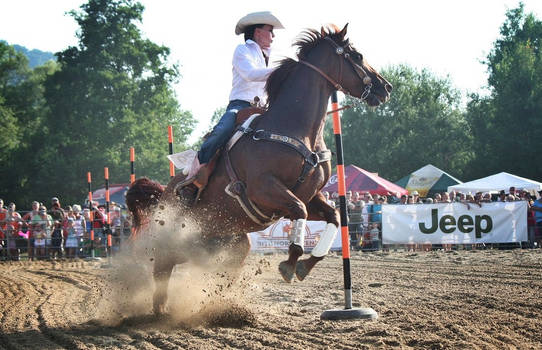 Rodeo Slovenska Lupca XVI.