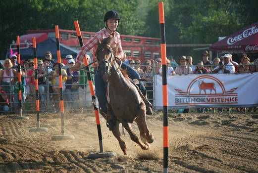 Rodeo Slovenska Lupca XVII.