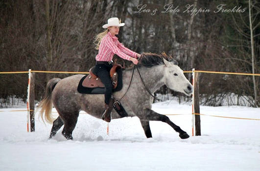 Training in Snow II.