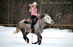 Training in Snow III.