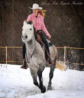 Training in Snow IV.