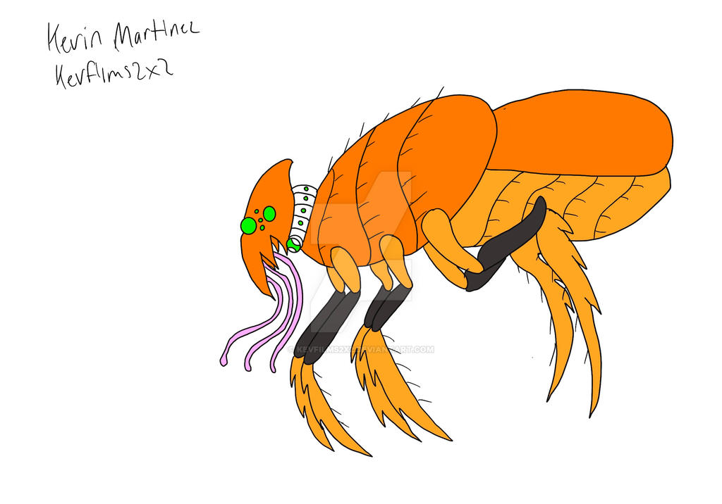 Hopper by Kevfilms2x2 on DeviantArt