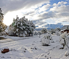 Sedona Winter