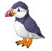 Puffin