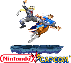 Sheik vs Chun-li Nintendo vs Capcom