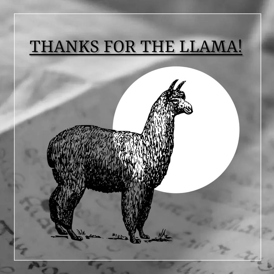 Thanks for the llama!