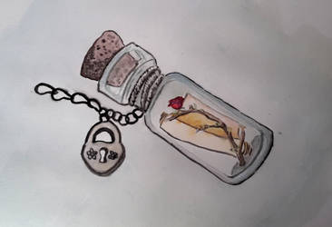 Secrets in a Bottle