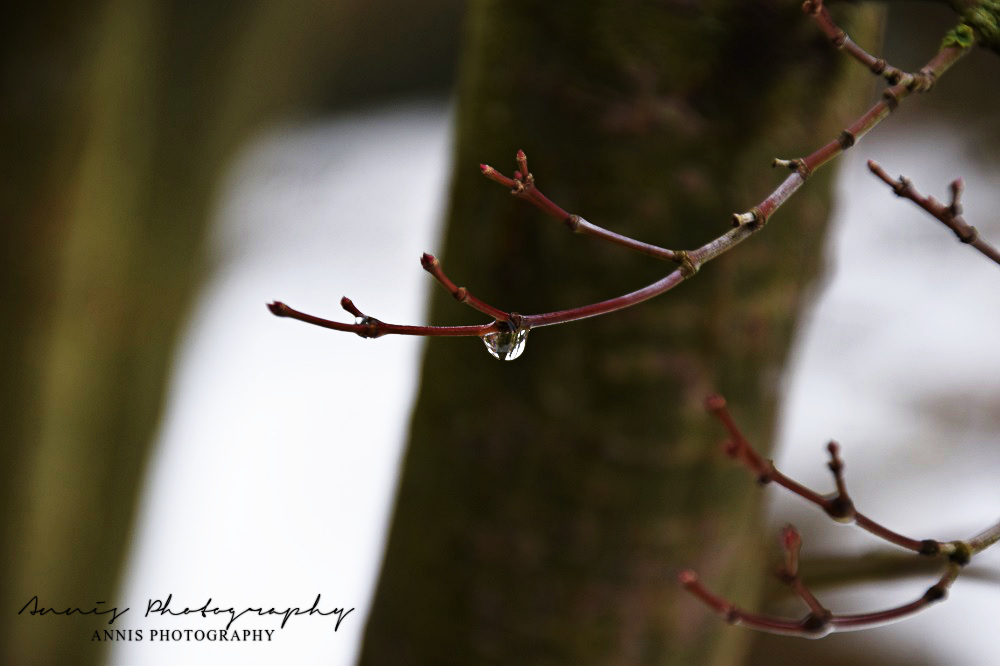 Lonely Waterdrop