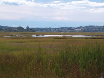 Field, town and sky