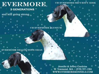 Evermore Kennel Ad 1