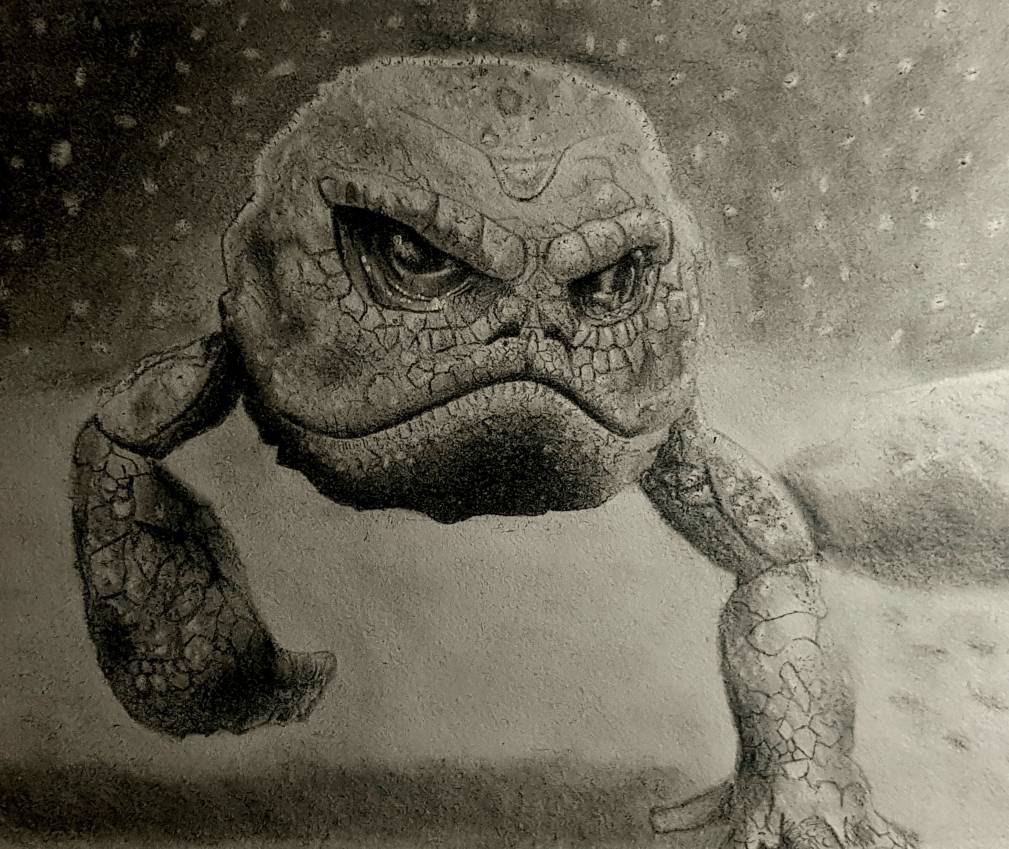 Pokemon Go Geodude Golem Realistic By Diabolum2 On Deviantart Pokemon Go Geodude Golem Realistic By Diabolum2 On Deviantart