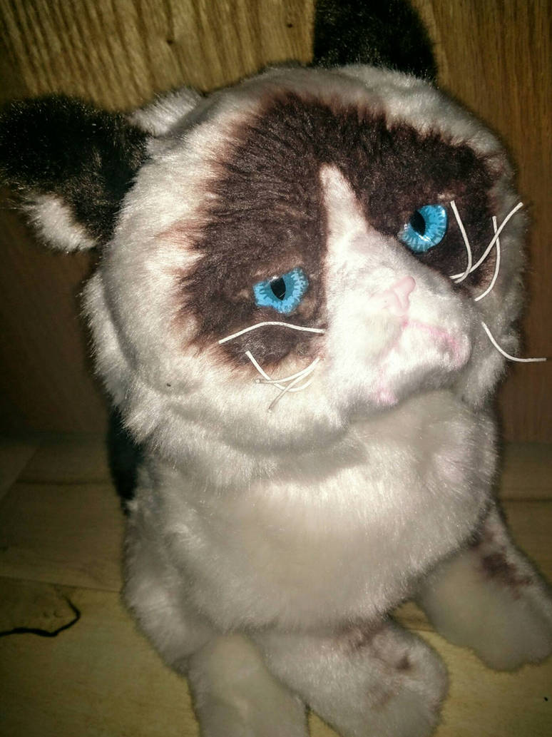 Grumpy Cat Plush by GoodieArts on DeviantArt