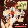 Coyote VS ACME in Cinemas!