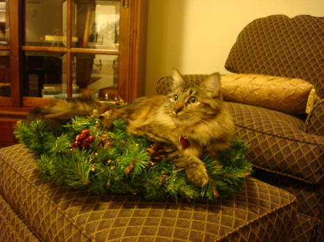 Khristmas Kat