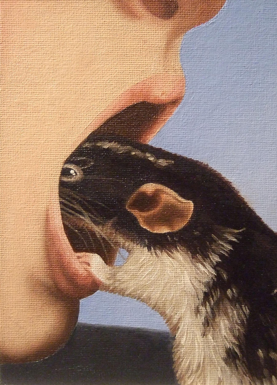 Cleaner Rat by lierne