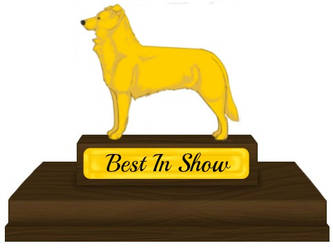 Best In Show - Trophy