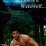 Werewolf Comparison