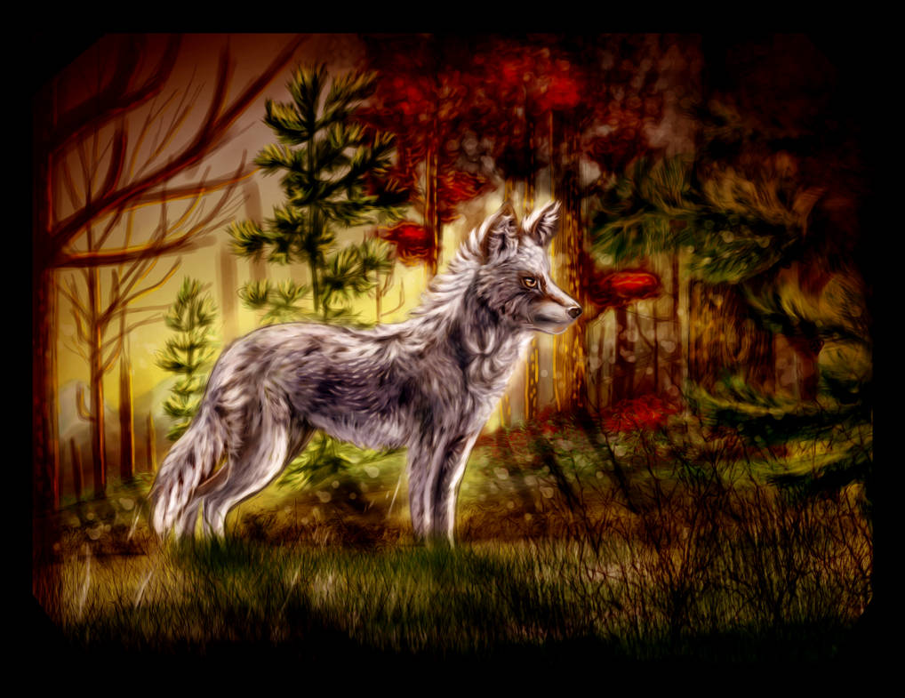 The September Wolf by AprilSilverWolf on DeviantArt