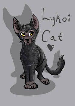 Lykoi Cat