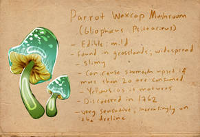 Parrot Waxcap Mushroom