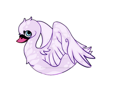 Purple Swan