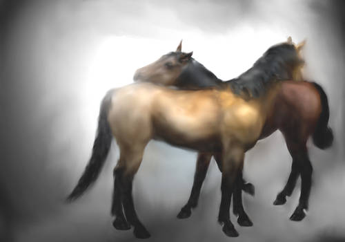 New Stock! Horse Love Painting