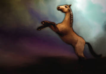 New Stock!  Digital Painting Horse