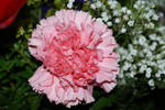 pink flower mothers day bunch