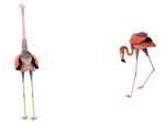 back and side of flamingos 3d