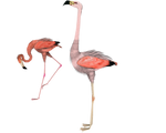side flamingo 3d stock pngs