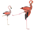 kick it out flamingo bird png