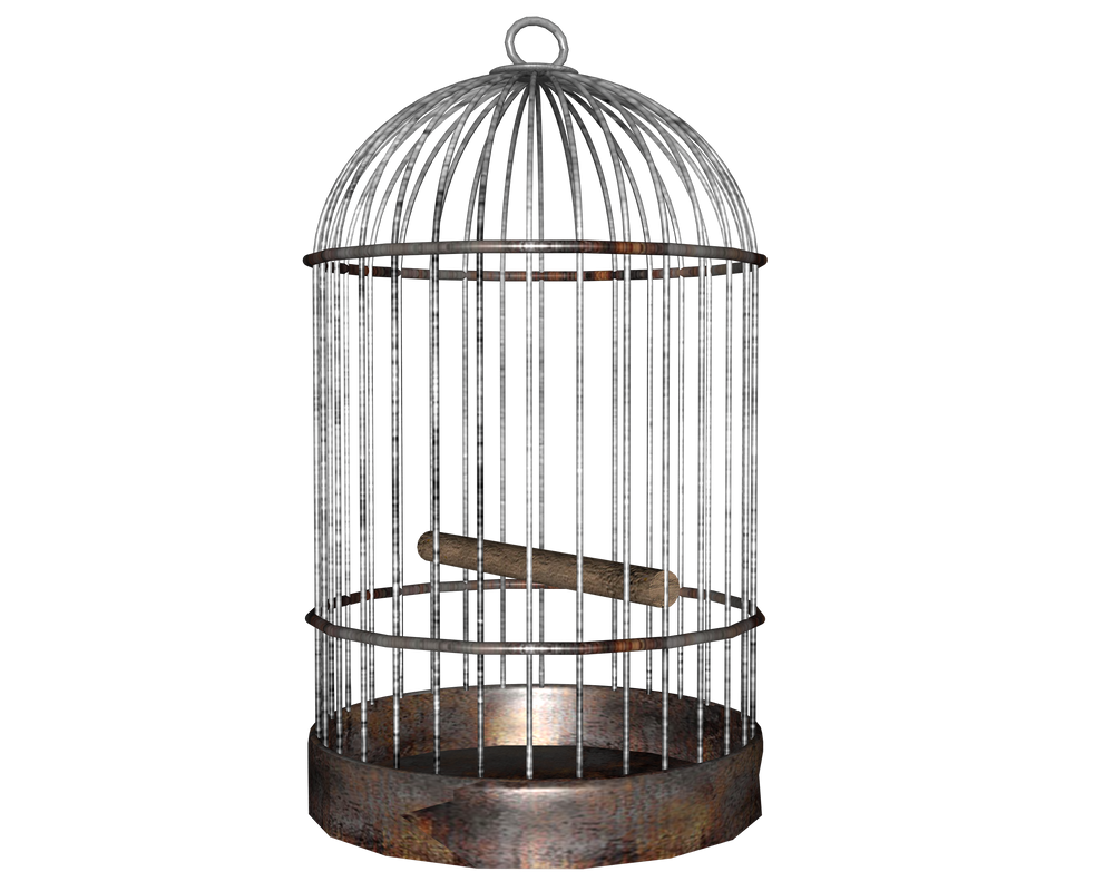 bird cage side shot of many by madetobeunique