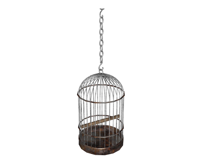 other hanging birdcage 3d bars