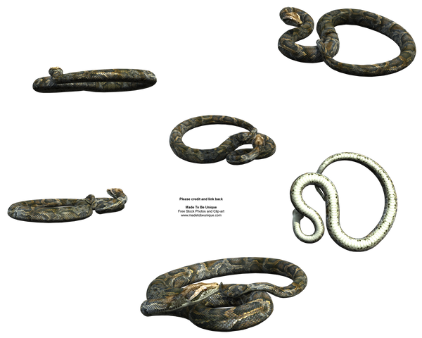 Free Stock Snake Python by madetobeunique on DeviantArt