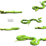 Bright Green Python Stock png