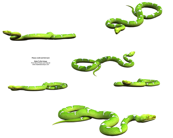 Bright Green Python Stock png by madetobeunique on DeviantArt
