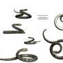 Curling Snake 3d Stock snakes