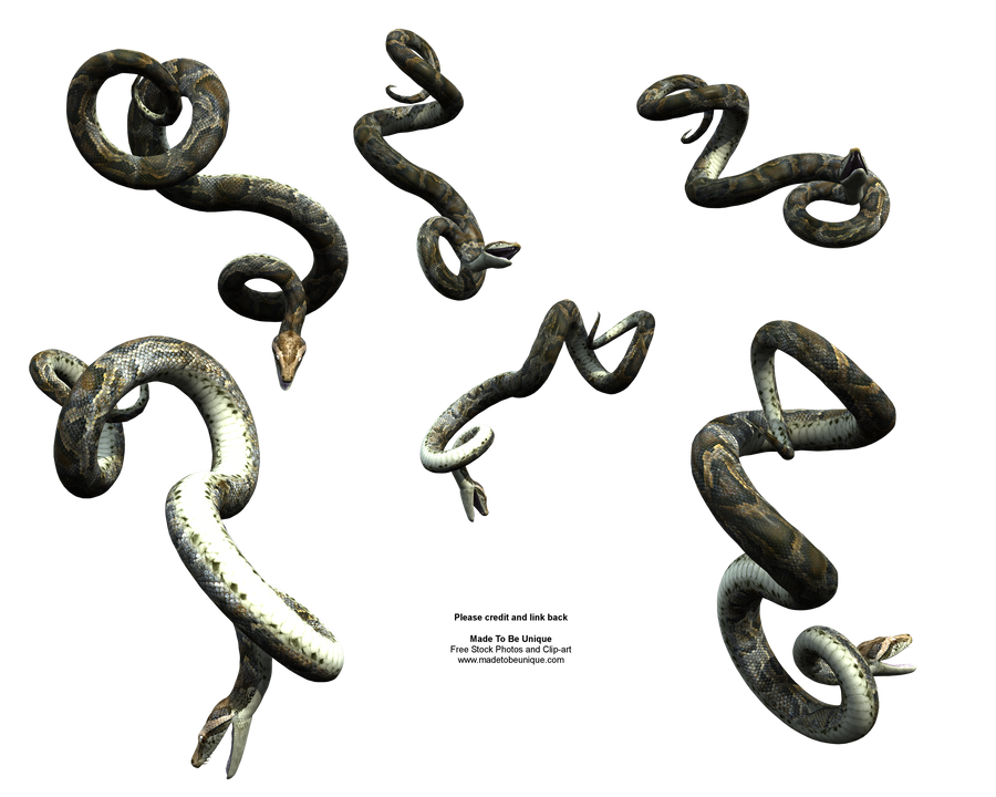Hanging Python Snake Realistic