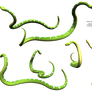 Slithering Green Snake Python