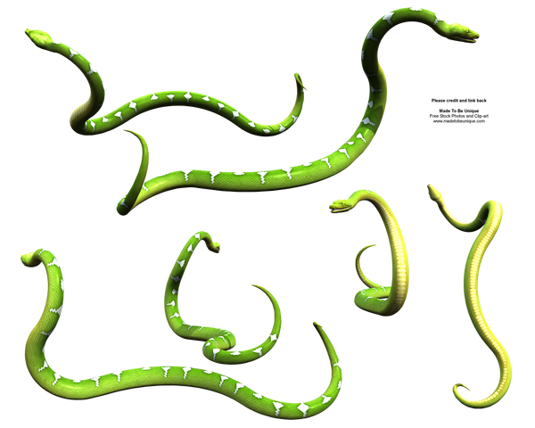 Green Tree Python Snake Slithering Slithering Green Snake Python by madetobeunique on DeviantArt