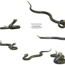 Realistic 3d Python Snake Stck