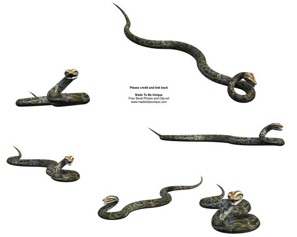 Realistic 3d Python Snake Stck by madetobeunique on DeviantArt