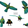 Flying Colorful Wompoo Dove