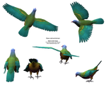 Flying Colorful Wompoo Dove