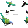 Wompoo Fruit Dove Pecking png