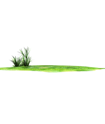 horizon grass lands stock png