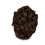 Stock Hair Images #3 top brown bun braid