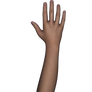 Free Stock Images Body Parts #1 hand n arm