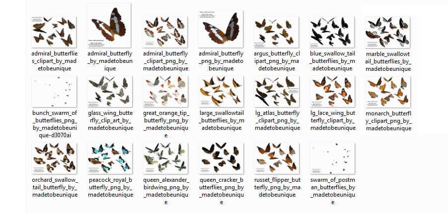 Full Butterfly COLLECTION! Stock Images by madetobeunique